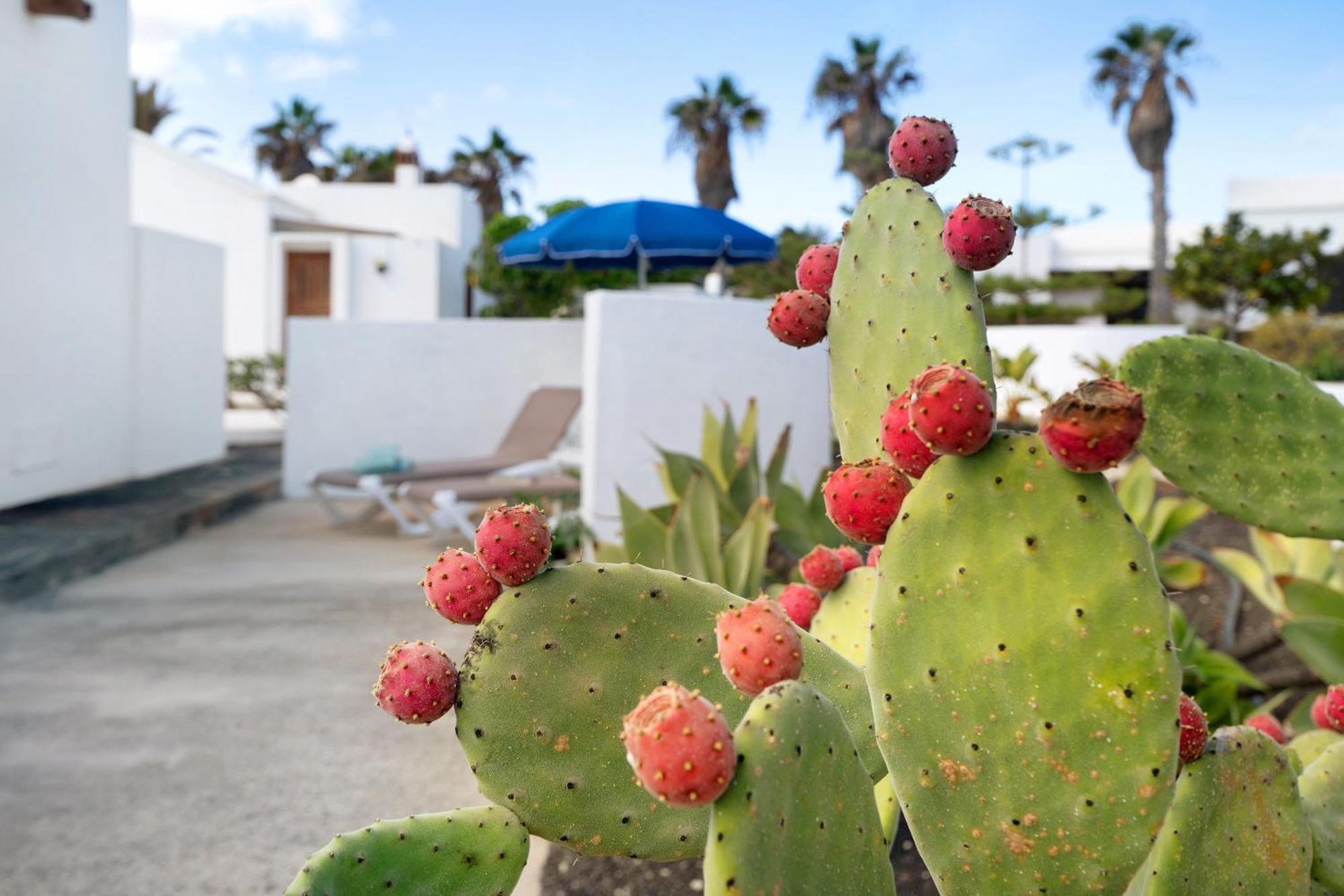 Villa Casa Aloe Haría Exterior foto